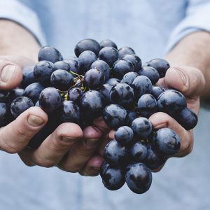 Kaale angoor (Black grapes)