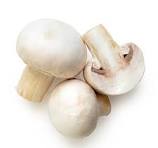 Mashroom