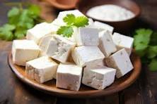 Fresh Paneer